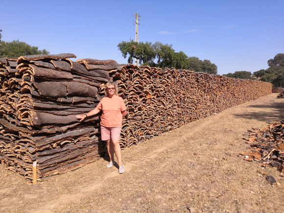 Travel after lockdown to the Forests of the Alentejo