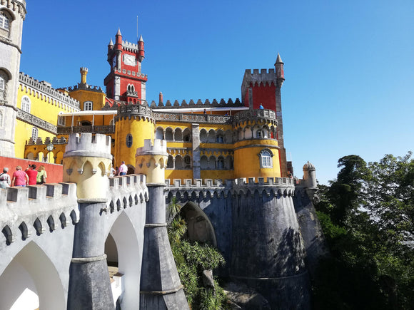 Travels to Portugal to find quality cork bag makers