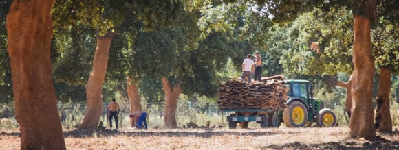 So why use Cork Leather in the production of fashion items?  Cork has been produced in Portugal & Spain for centuries and there exists great skills amongst their artisans in the production of cork fabric.  Its also eco-friendly, vegan, durable      